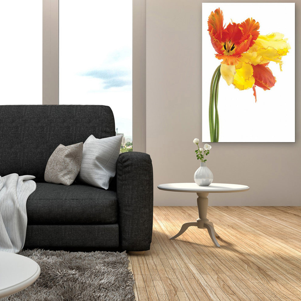 Orange Yellow Parrot Tulip Frameless Free Floating Tempered Art Glass Wall Art