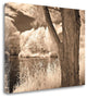 "Lakefront VIew II" By Ily Szilagyi, Giclee Print on Gallery Wrap Canvas