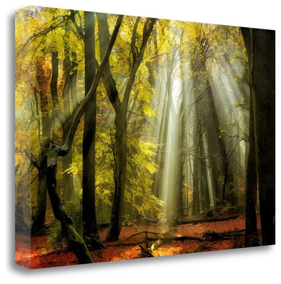 "Yellow Leaves Rays" By Lars Van De Goor, Giclee Print on Gallery Wrap Canvas