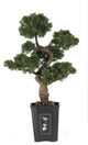 Cedar Bonsai 36" Silk Plant
