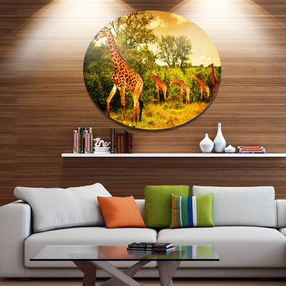 South African Giraffes, African Round Wall Art, 23"