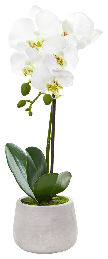 Phalaenopsis Orchid Artificial Arrangement, Set of 2