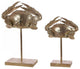 Safavieh Conra Set of 2 Crab Table Decor Gold