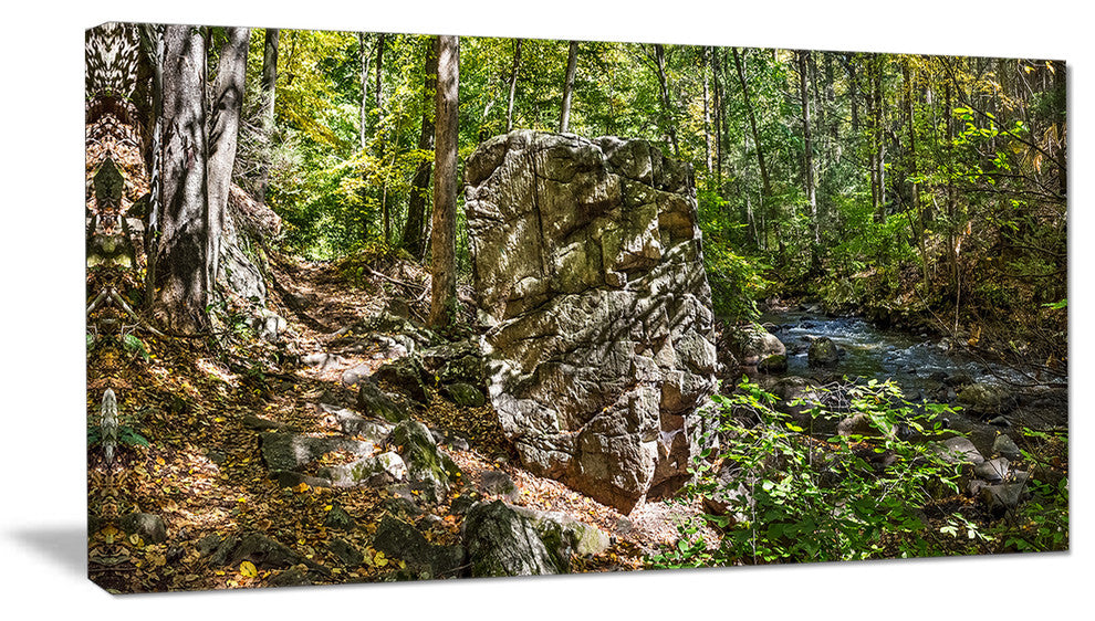 "Huge Rock in Black River Shore" Landscape Wall Art Wall Art, 40"x20"