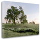 "Oak Tree - 85" By Alan Blaustein, Giclee Print on Gallery Wrap Canvas