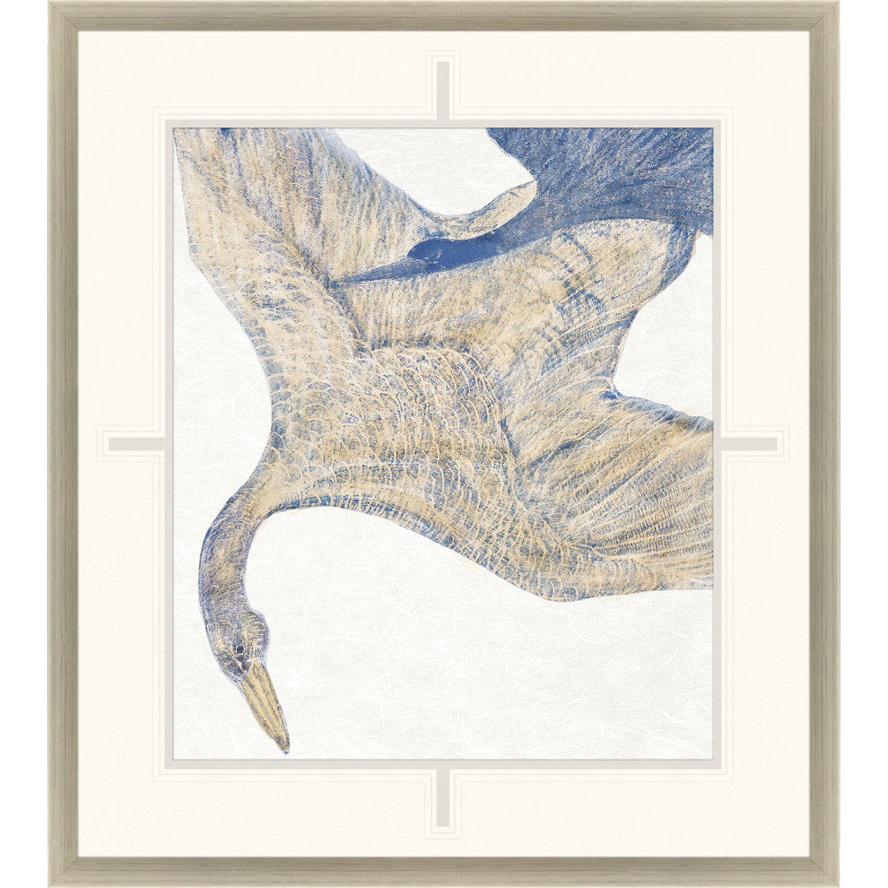 Plumage II Framed Art