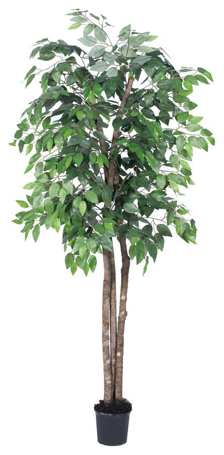 Vickerman 6' Artificial Ficus Deluxe, Black Plastic Pot