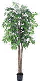 Vickerman 6' Artificial Ficus Deluxe, Black Plastic Pot