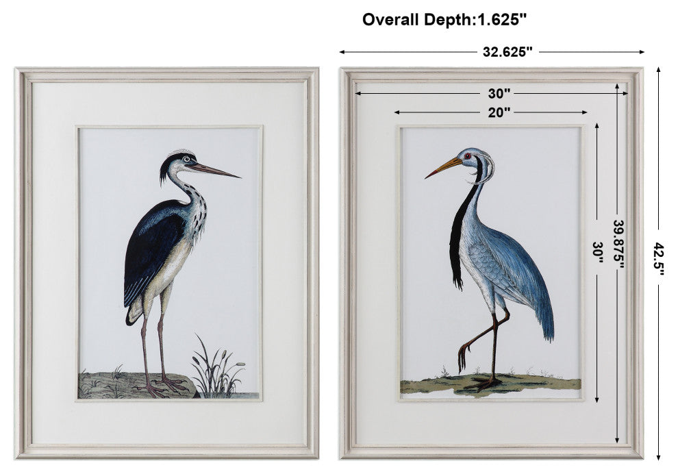 Uttermost Shore Birds Framed Prints, Set of 2