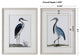 Uttermost Shore Birds Framed Prints, Set of 2