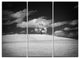 "Lonely Tree on Meadow Black White" Metal Wall Art, 3 Panels, 36"x28"