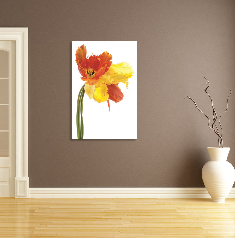 Orange Yellow Parrot Tulip Frameless Free Floating Tempered Art Glass Wall Art