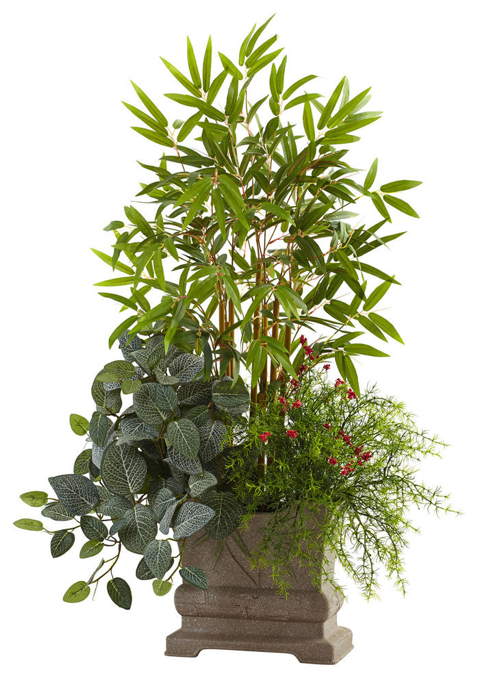 38" Mixed Mini Bamboo, Fittonia & Springeri With Planter