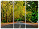 "Road Through Stunning Greenery" Metal Wall Art, 3 Panels, 36"x28"
