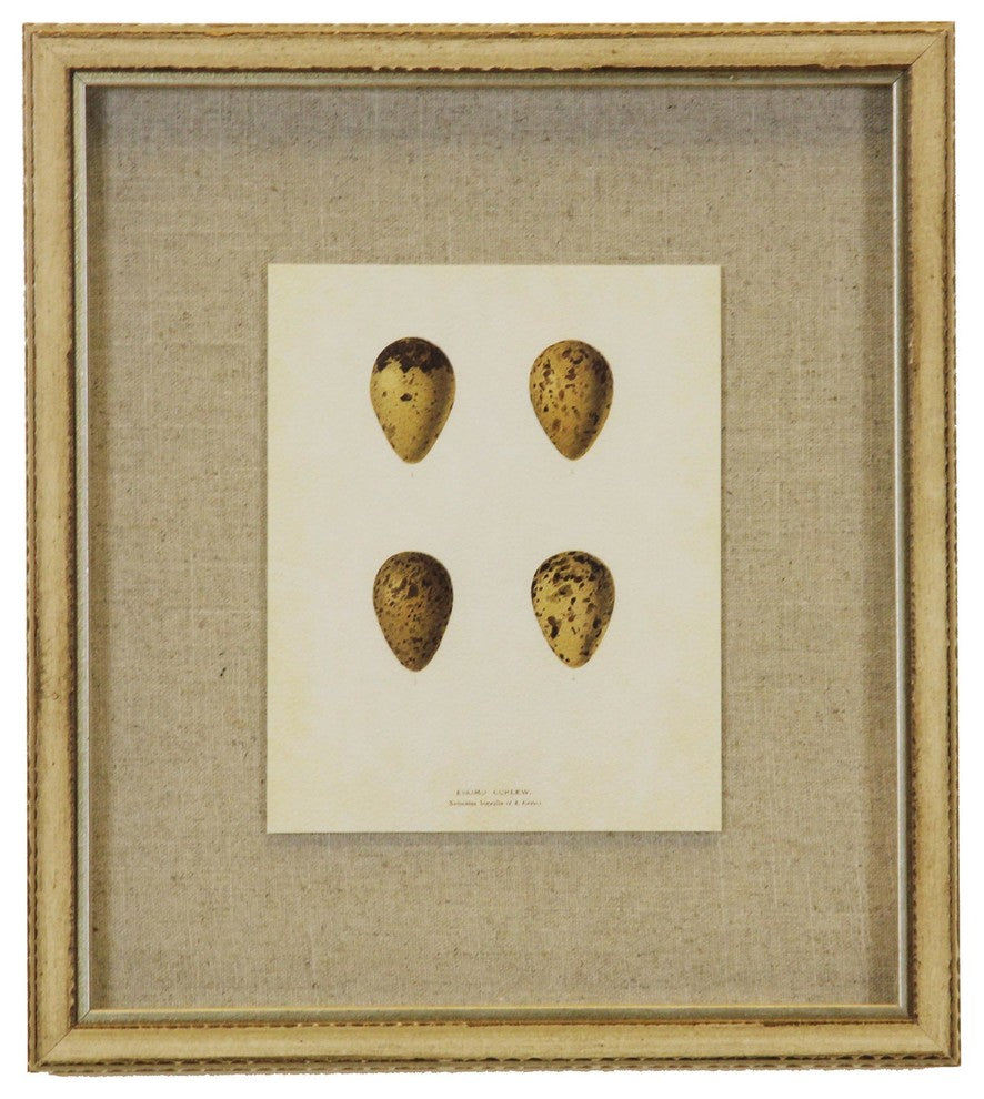 Bird Egg Print On Linen, Distressed Cream Shadowbox