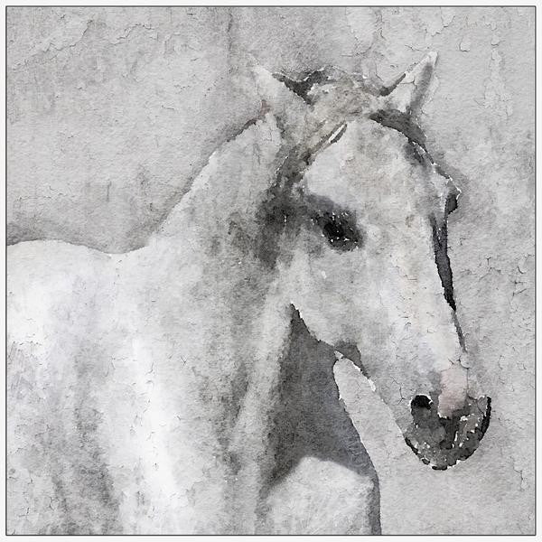 "Gray Elegant Horse" Floater Framed Painting Print on Canvas, 16"x16"