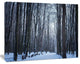 Thick Woods in Winter Forest, Modern Forest Canvas Art, 20"x12"