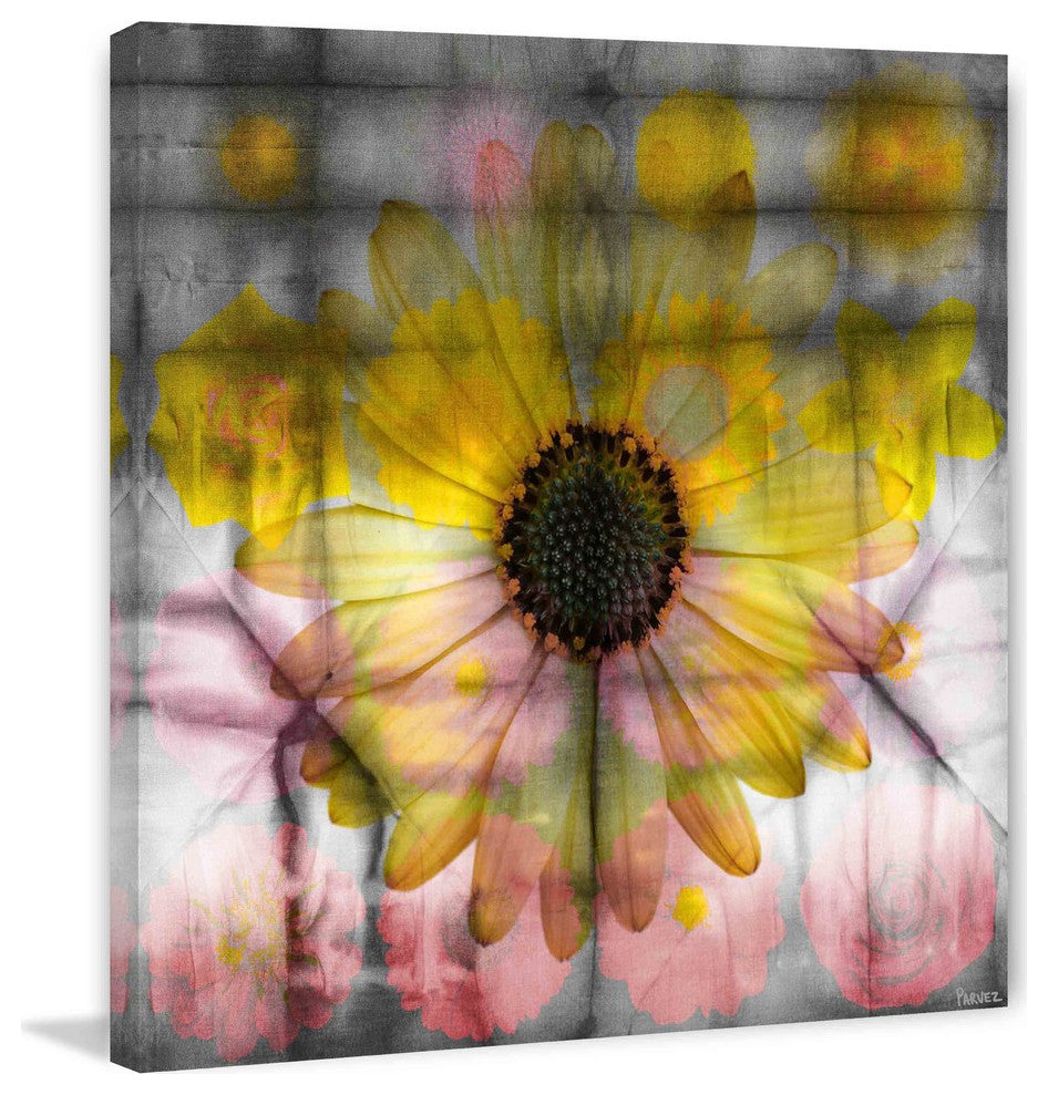 "Pink and Yellow Sunflower" Fine Art Canvas Print, 24"x24"