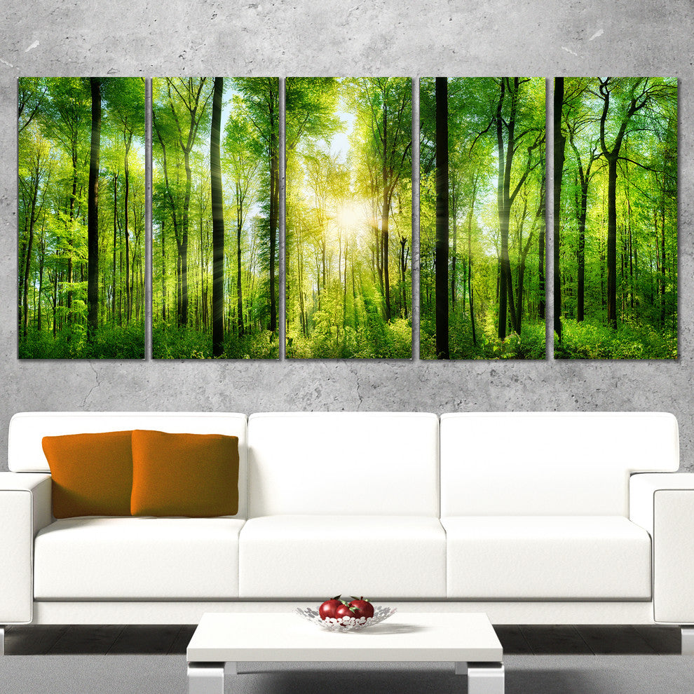 "Forest With Rays of Sun" Panorama Landscape Canvas Print, 5 Panels, 60"x28"
