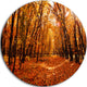 Yellow Falling Leaves In Forest, Landscape Photo Disc Metal Art, 36"