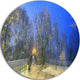 Mariinsky Garden With Blue Sky, Landscape Photo Disc Metal Artwork, 38"
