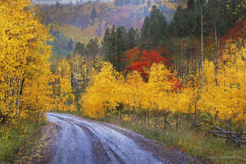 "Wet Road Peak of Autumn" Painting Print on Canvas by Chris Vest