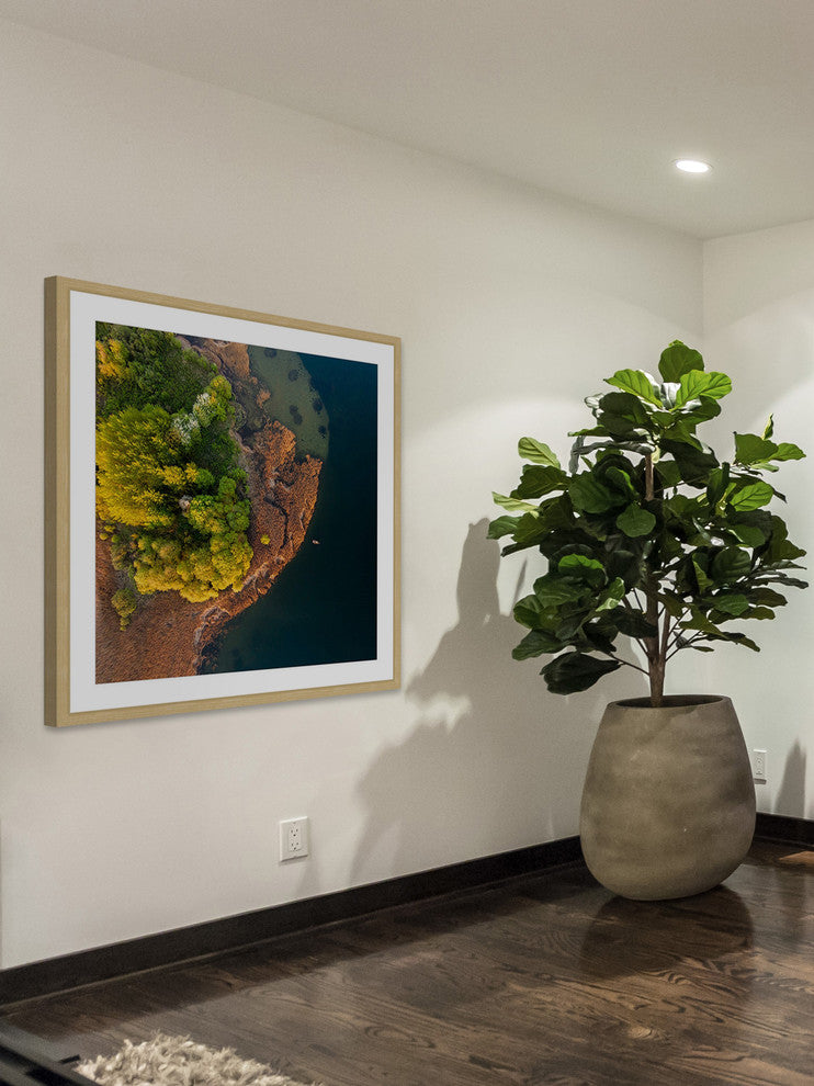 "Trees from Above" Framed Painting Print by Karolis Janulis