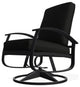 Belle Isle Cushion Outdoor Swivel Rocker, Black/Black