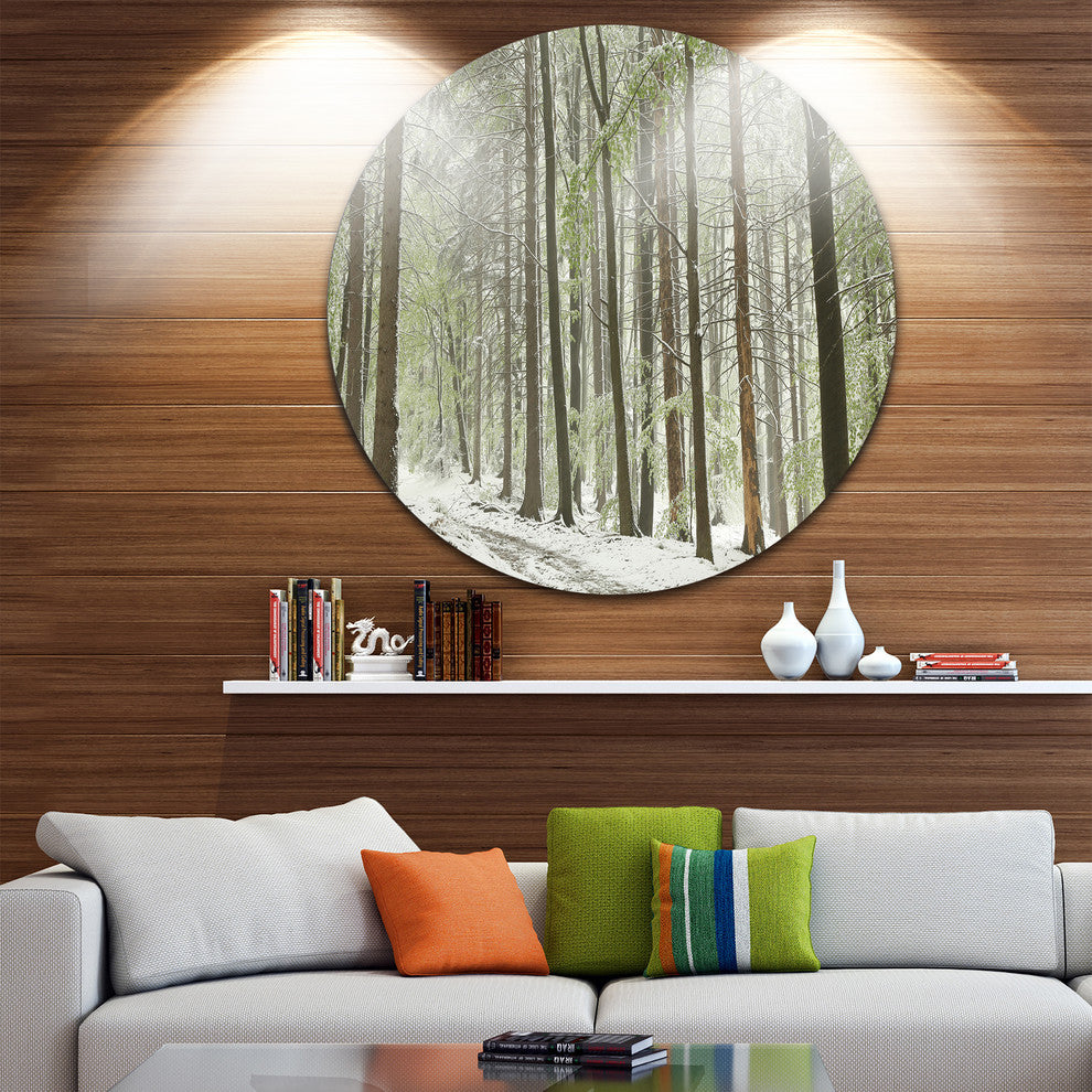 Spring Beech Forest Scenery, Landscape Photo Round Wall Art, 36"