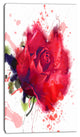 Beautiful Bright Red Rose, Floral Canvas Art print, 16"x32"