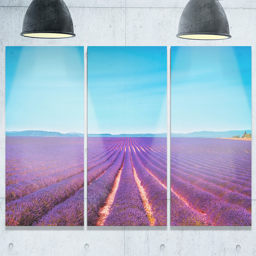 "Lavender Flowers and Clear Sky" Metal Wall Art, 3 Panels, 36"x28"