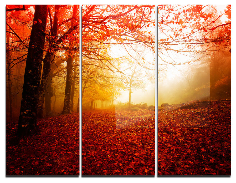 "Yellow Sun Rays in Red Forest" Photo Metal Wall Art, 3 Panels, 36"x28"