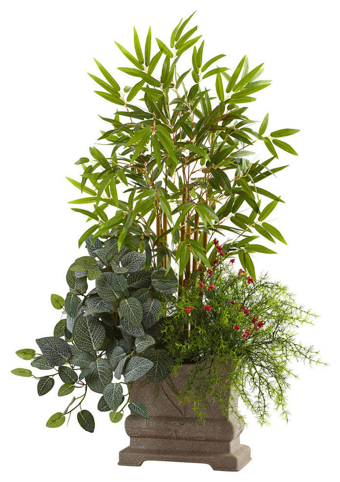 38" Mixed Mini Bamboo, Fittonia & Springeri With Planter