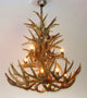 Whitetail, Mule Deer Antler Chandelier Light, Large, Parchment Shades