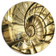 Architectural Detail Of Paris In Winter, Abstract Round Wall Art, 23"