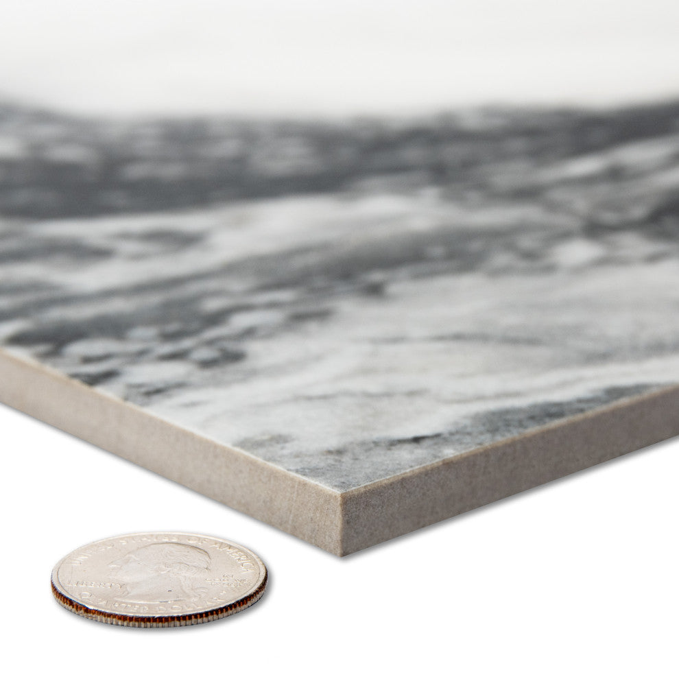 Touche Zebre Porcelain Floor/Wall Tile
