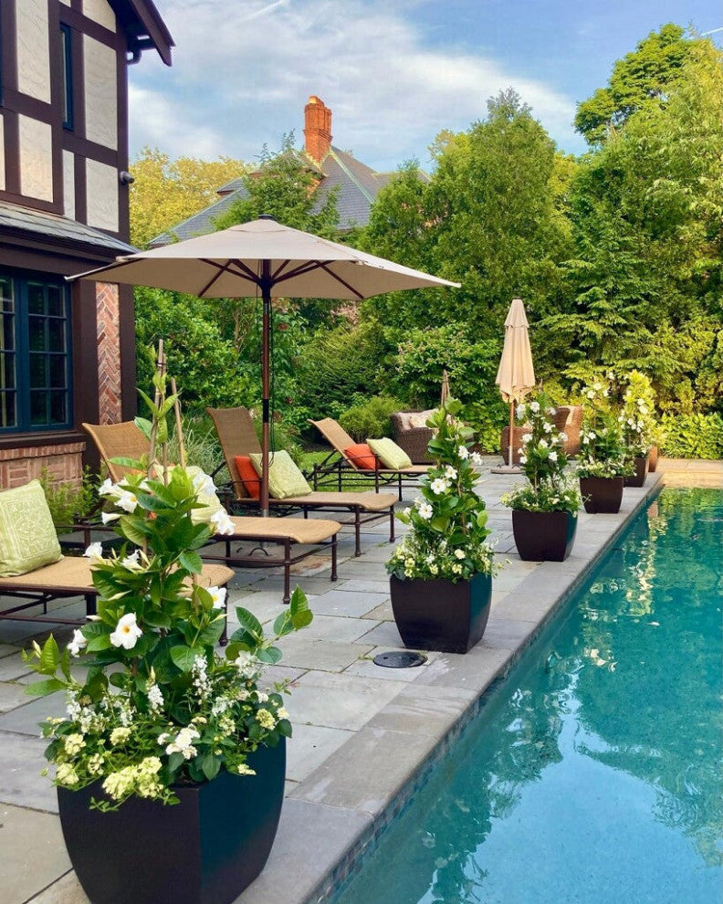 Pacifica Square Curved Planter Box, Black, 16"x16"x14.5"