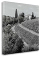 "Tuscany - 5" By Alan Blaustein, Giclee Print on Gallery Wrap Canvas