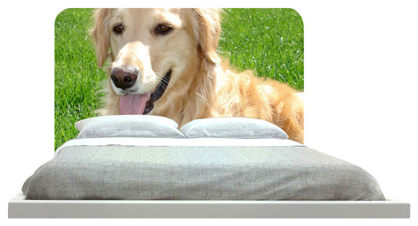 "Golden Retriever 45" Headboard