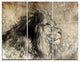 "Lion in Sepia" Digital Metal Wall Art, 3 Panels, 36"x28"
