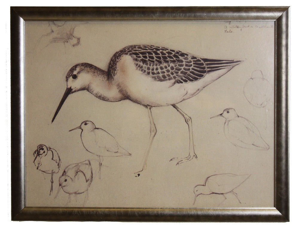 Black And White Water Bird With Surrounding Babies, Silver Frame