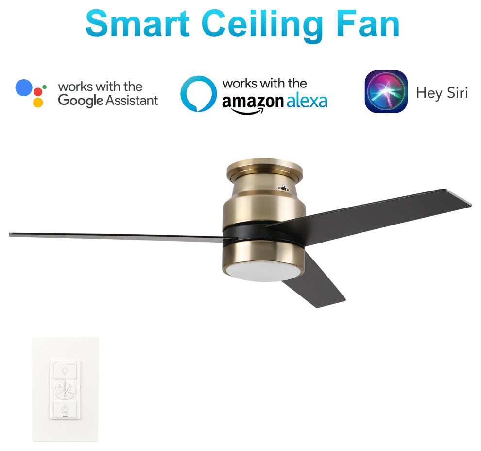 Carro 52'' Indoor Ceiling Fan with Light Wall Control and Remote by Wifi App, Golden