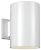 Large 1-Light Outdoor Wall Lantern, White