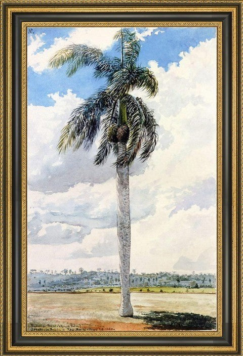 Charles De Wolf Brownell Royal Palm Framed Premium Canvas Print, 16"x24"