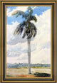 Charles De Wolf Brownell Royal Palm Framed Premium Canvas Print, 16"x24"
