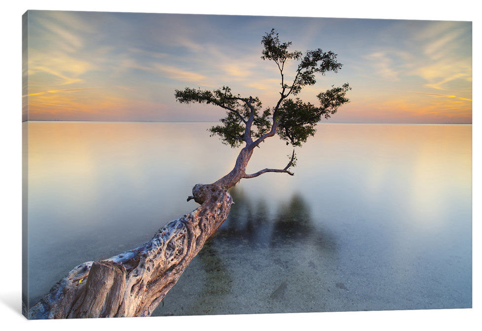 Water Tree XIV by Moises Levy