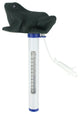 Floating Frog Swimming Pool Thermometer With Cords