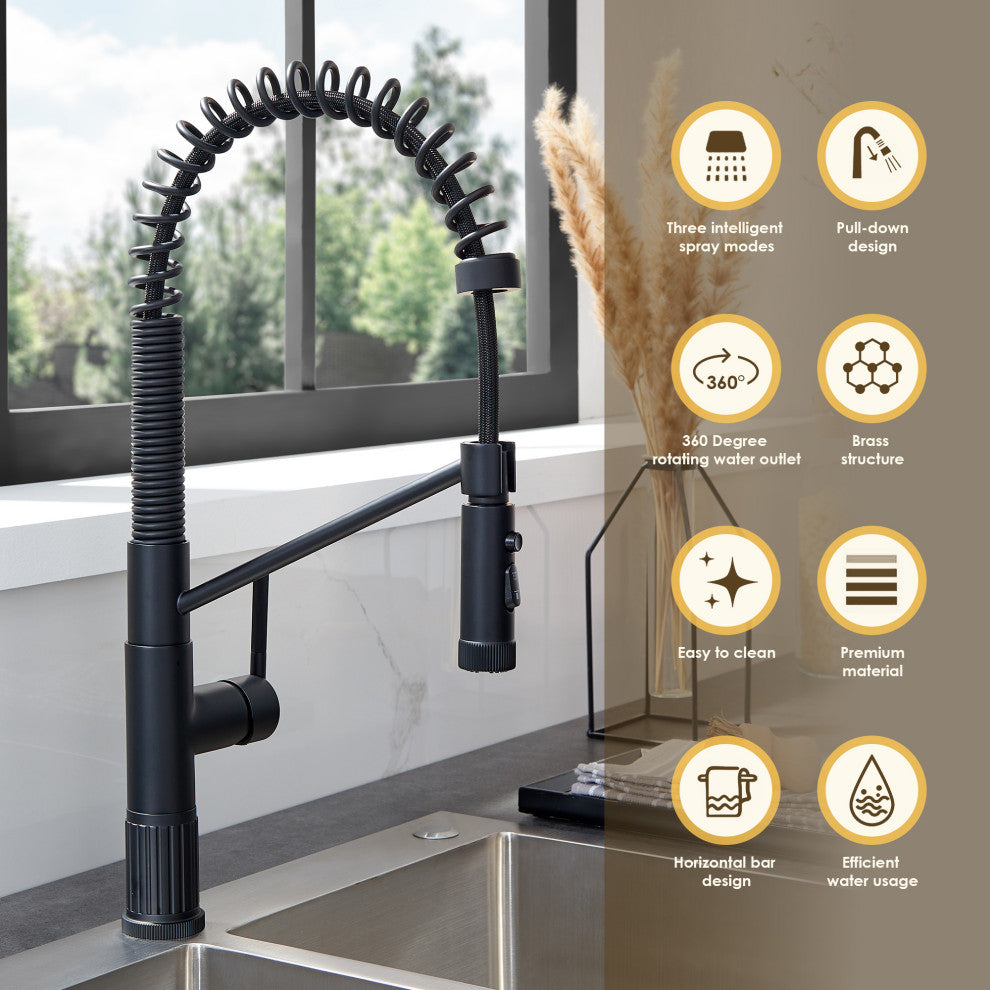 Nette Single-Handle Kitchen Faucet With Pull Down Sprayer, Matte Black