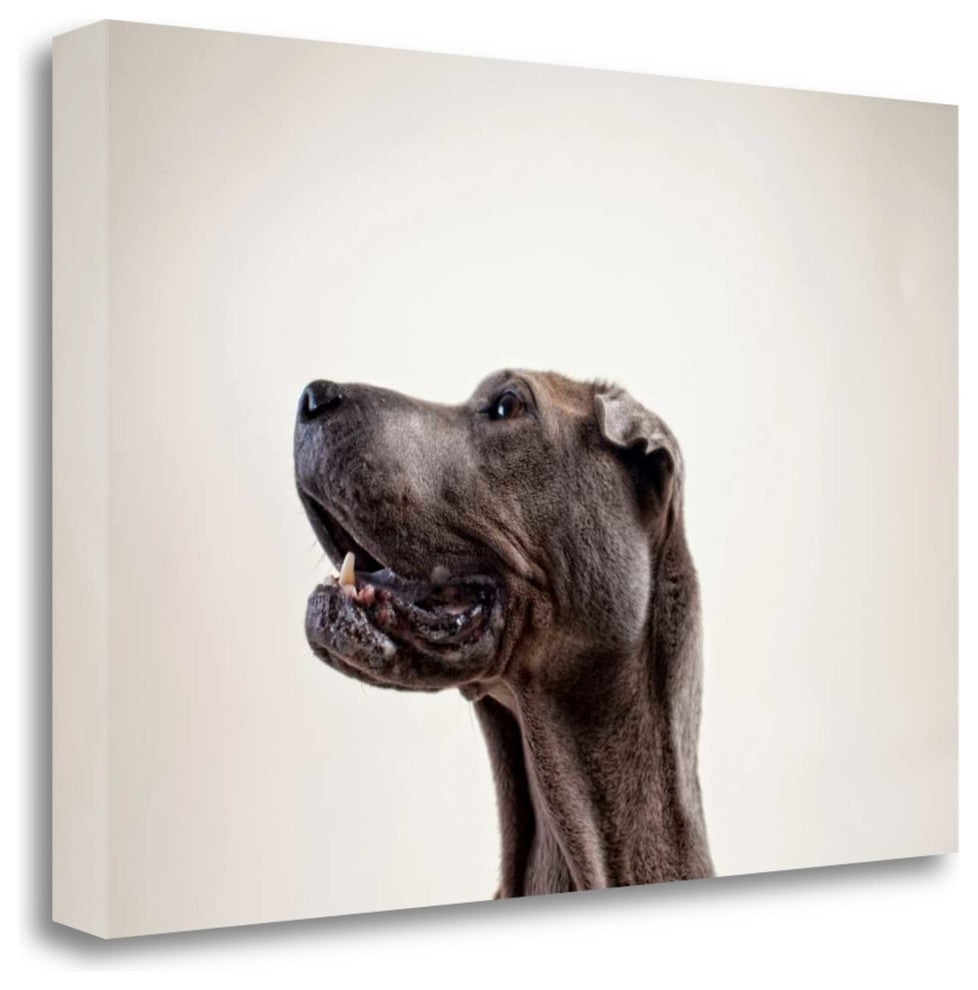 "Pelei In Profile" By Susan Sabo, Giclee Print on Gallery Wrap Canvas