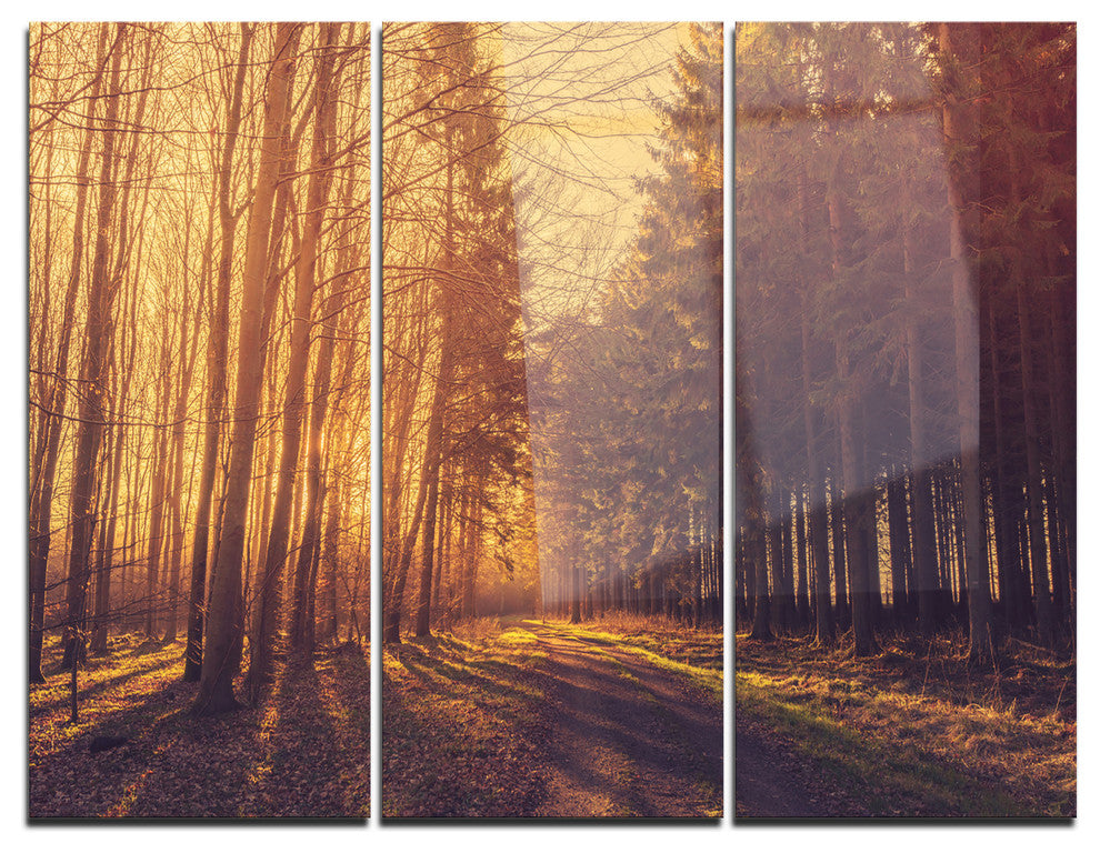 "Pine Tree Forest by Road" Photo Metal Wall Art, 3 Panels, 36"x28"